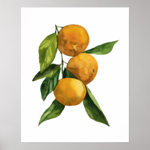 Waterverf biologische Tangerines Poster