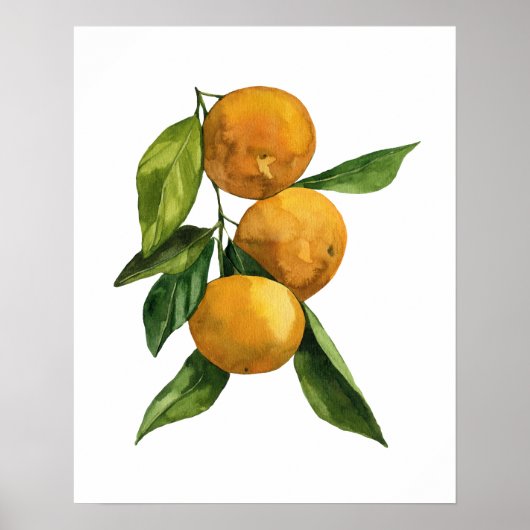 Waterverf biologische Tangerines Poster (Voorkant)