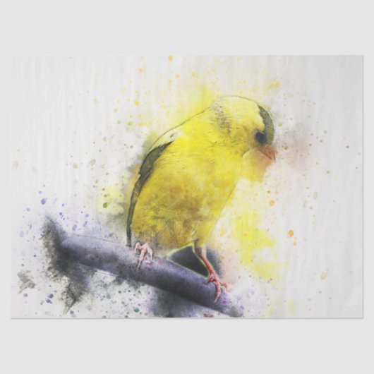 Waterverf Bird 5 ontlepagina Wall Art Tissuepapier (Voorkant)