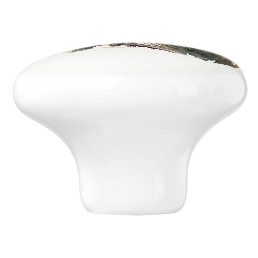 Waterverf Bird op een Pine Branch Keramische Knop (Zijkant)