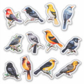 Waterverf Bird Scrapbook Stationery Sticker (Voorkant)