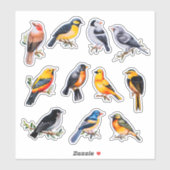 Waterverf Bird Scrapbook Stationery Sticker (Vel)