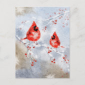 Waterverf Birds Briefkaart | Mooie vogel (Voorkant)