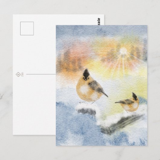 Waterverf Birds Briefkaart | Mooie vogel (Voorkant / Achterkant)