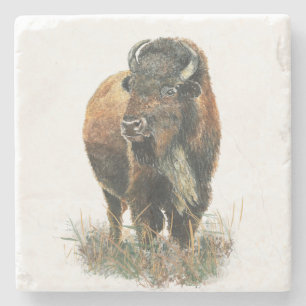 Waterverf Bison Buffalo Animal Natuur Art Stenen Onderzetter