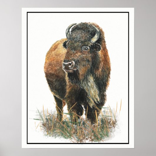 Waterverf Bison Buffalo Dierlijke Natuur Poster (Voorkant)
