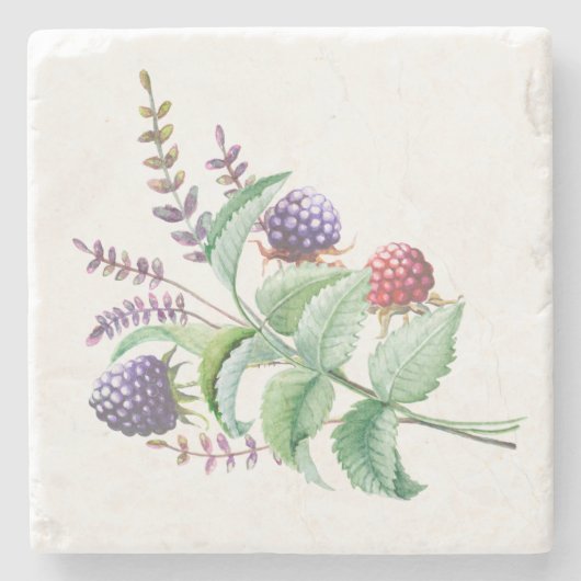 Waterverf Blackberries Frambozen Bouquet Stenen Onderzetter (Voorkant)