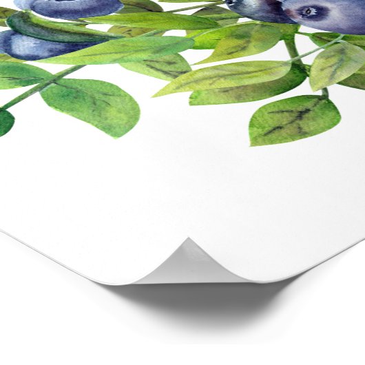 waterverf blauwbessen blauwe botanische welkomstte poster (Hoek)