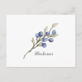 Waterverf Blauwbessen botanisch Briefkaart