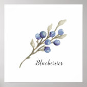 Waterverf Blauwbessen botanisch Poster (Voorkant)