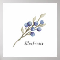 Waterverf Blauwbessen botanisch