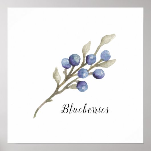 Waterverf Blauwbessen botanisch Poster (Voorkant)