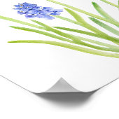 waterverf blauwe druif hyacinth 2023 poster (Hoek)
