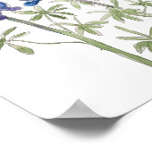 waterverf blauwe en paarse lupine bloemen poster (Hoek)