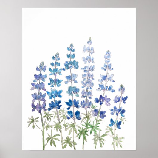 waterverf blauwe en paarse lupine bloemen poster (Voorkant)