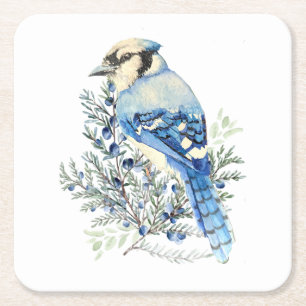 Waterverf Blauwe Gaai Vogel Blauwe Bosbessen Lande Kartonnen Onderzetters