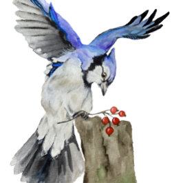 Waterverf blauwe jay bagagelabel