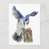 Waterverf blauwe jay briefkaart (Voorkant)