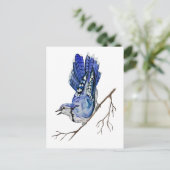 Waterverf blauwe jay briefkaart (Staand voorkant)