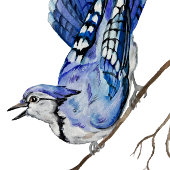 Waterverf blauwe jay briefkaart