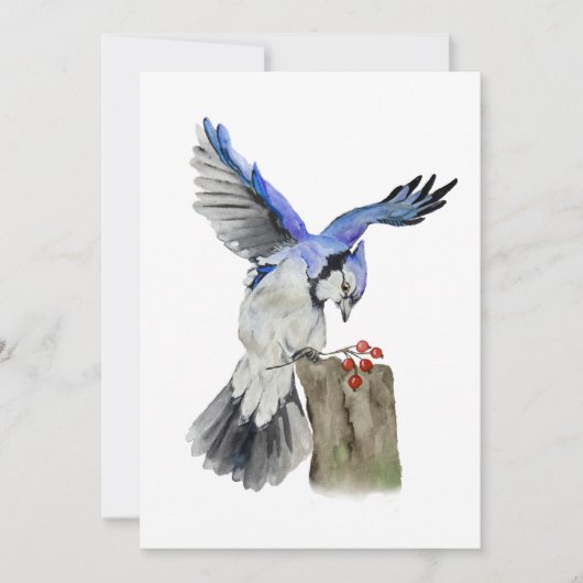 Waterverf blauwe jay kaart (Voorkant)