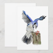 Waterverf blauwe jay kaart (Voorkant / Achterkant)