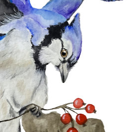 Waterverf blauwe jay kartonnen onderzetters