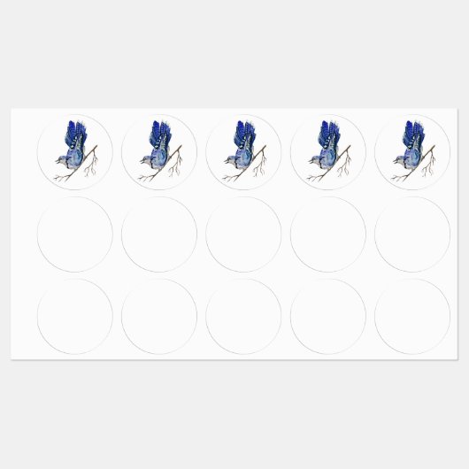 Waterverf blauwe jay labels (Vel)