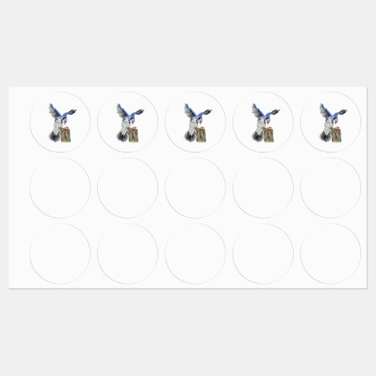 Waterverf blauwe jay labels (Vel)