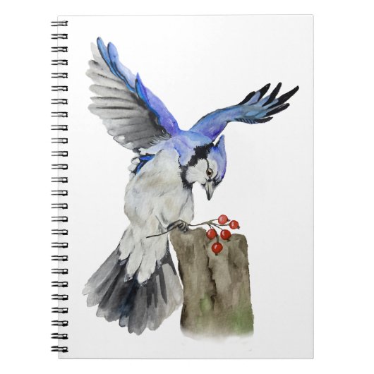 Waterverf blauwe jay notitieboek (Voorkant)