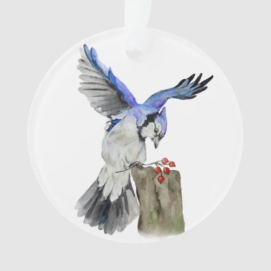 Waterverf blauwe jay ornament (voorkant)