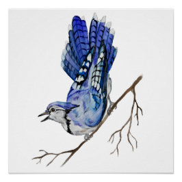 Waterverf blauwe jay perfect poster