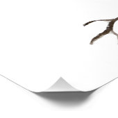 Waterverf blauwe jay perfect poster (Hoek)