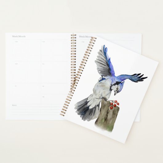 Waterverf blauwe jay planner (Display)