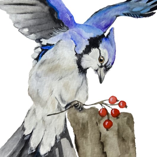 Waterverf blauwe jay poster
