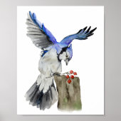 Waterverf blauwe jay poster (Voorkant)