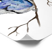 Waterverf blauwe jay poster (Hoek)