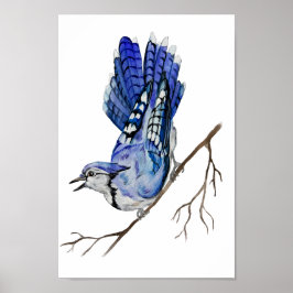 Waterverf blauwe jay poster