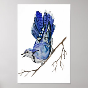 Waterverf blauwe jay poster