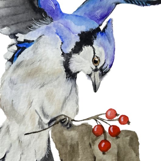 Waterverf blauwe jay stenen onderzetter