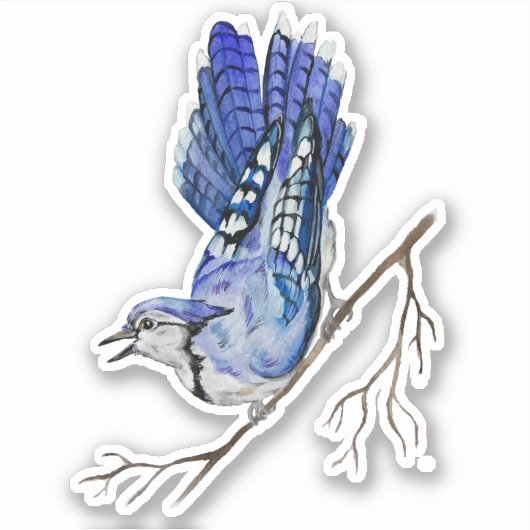 Waterverf blauwe jay sticker (Voorkant)