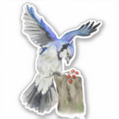 Waterverf blauwe jay sticker (Voorkant)