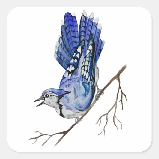 Waterverf blauwe jay vierkante sticker (Voorkant)