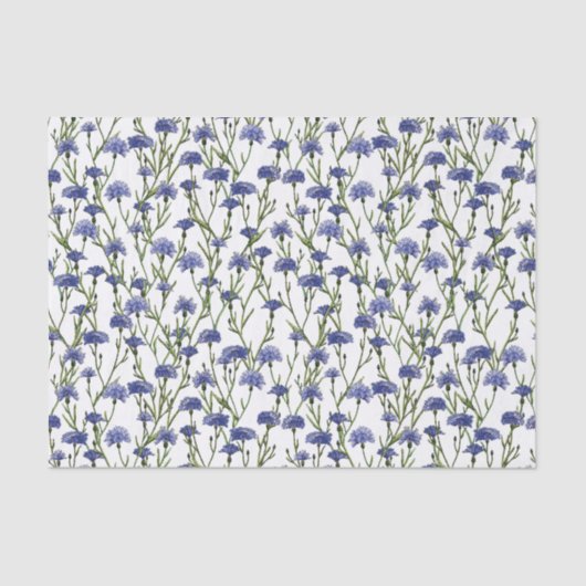 Waterverf Blauwe Korenbloemen op Witte Achtergrond Tissuepapier (Voorkant)