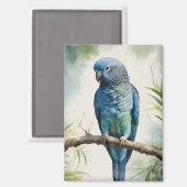 Waterverf blauwe parkiet eucalyptusboom magneet (Voorkant / Achterkant)