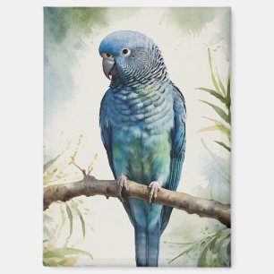 Waterverf blauwe parkiet eucalyptusboom magneet