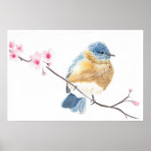Waterverf blauwvogel op een kersenbloesemtak poster (Voorkant)