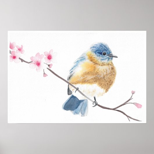 Waterverf blauwvogel op een kersenbloesemtak poster (Voorkant)