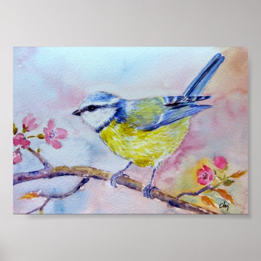 Waterverf Blauwvogel Poster (Voorkant)