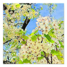 Waterverf bloeiende lente Fotouitbreiding